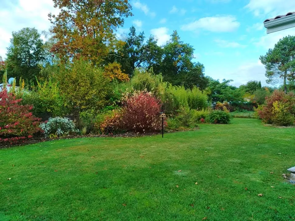 Jardin entretenu par RONDET PAYSAGES dans le Médoc