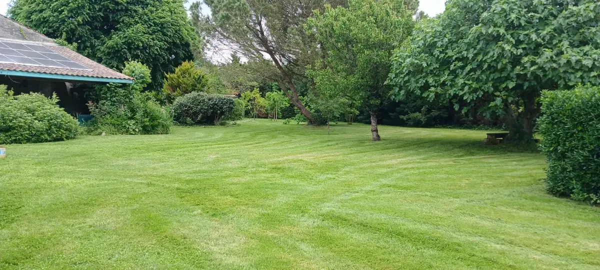 Entretien de jardin par RONDET PAYSAGES — Médoc / Bassin d'Arcachon / CUB (réf. entretien-08)