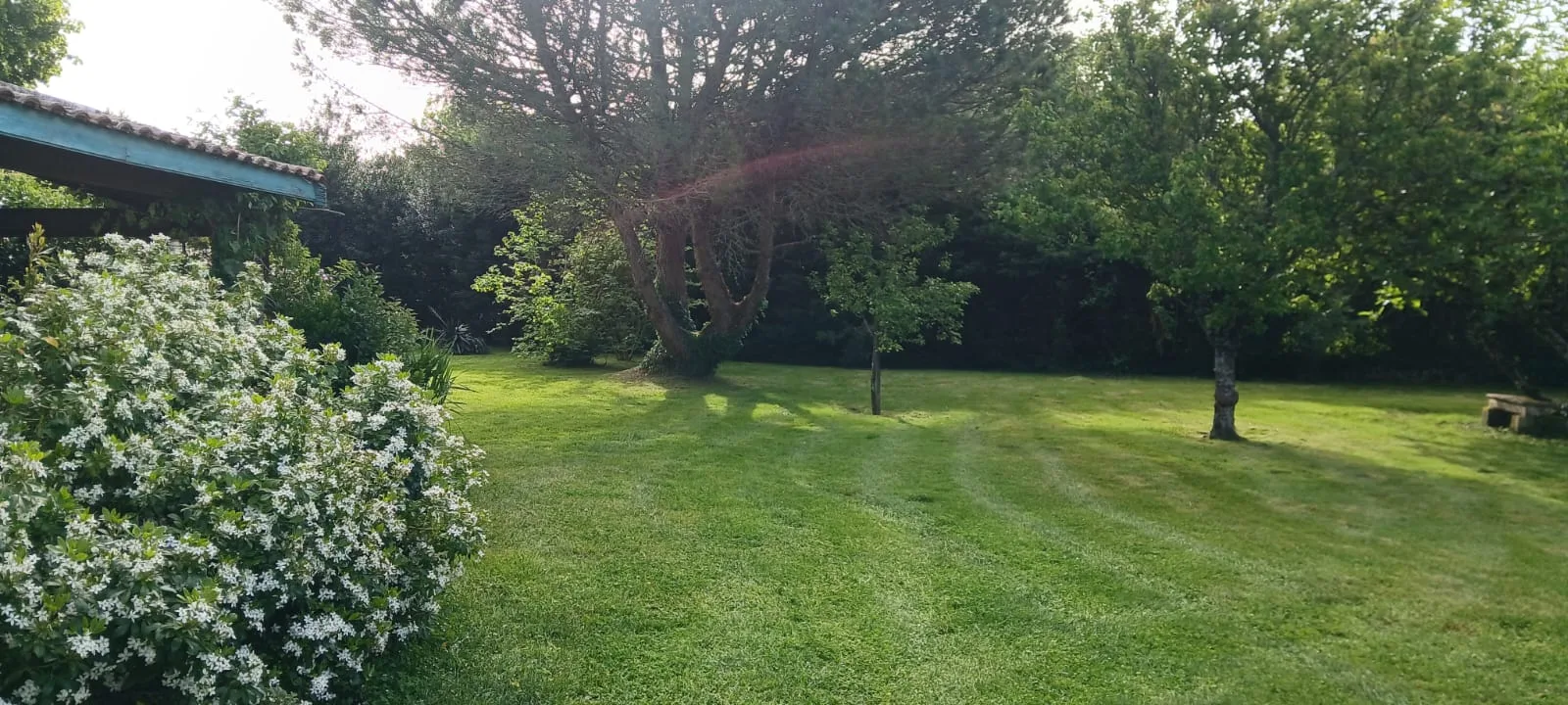 Entretien de jardin par RONDET PAYSAGES — Médoc / Bassin d'Arcachon / CUB (réf. entretien-09)